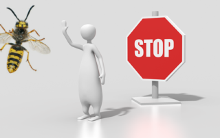 Darázsirtás, darázsmentesítés Dunaújváros és Fejér megye