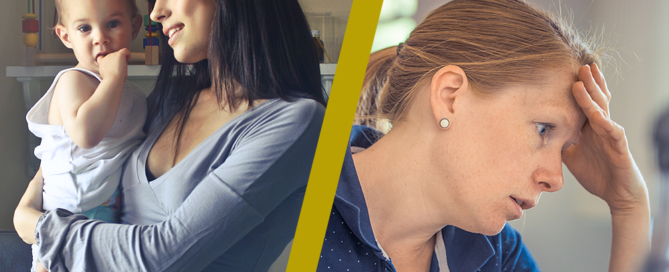 Ne legyen gondja - rovar és kártevőirtás Dunaújváros és Fejér megye